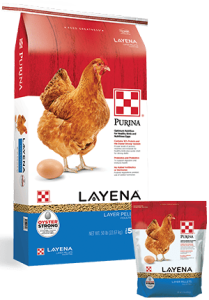 Products_Flock_Purina-Layena-Layer-Pellets-50-10-Combo (1)